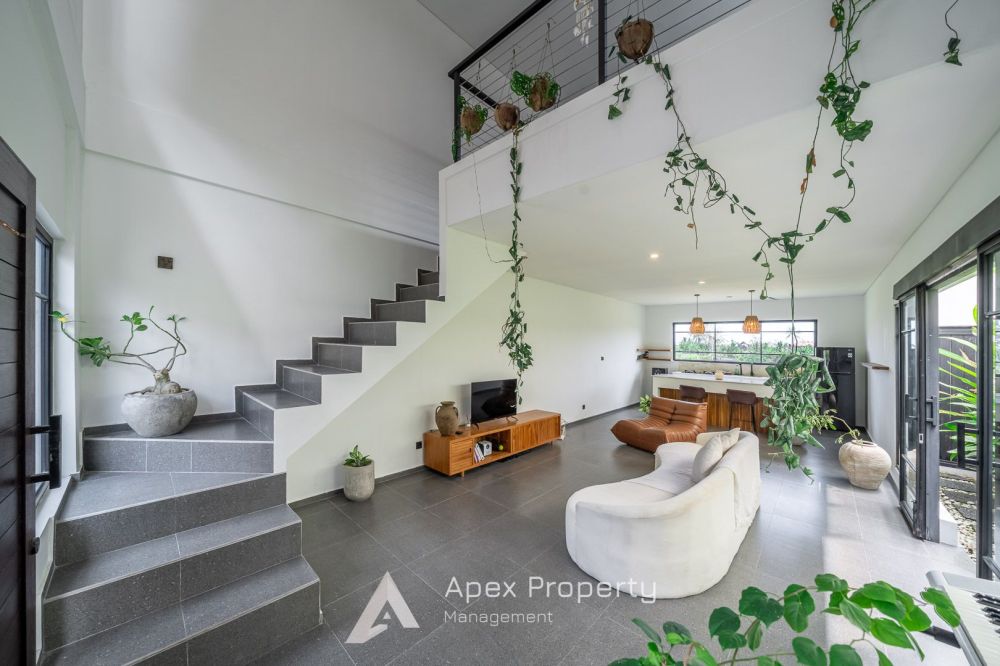 apex property